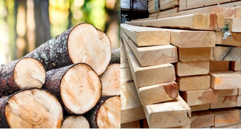 Timber Vs Lumber: A Comprehensive Guide